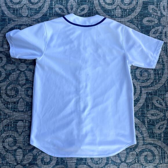 VINTAGE Chicago Cubs MLB True Fan Series Pinstripe Baseball Men's Jersey Size L - Picture 2 of 7